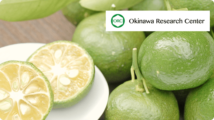 Webサイト一部改修