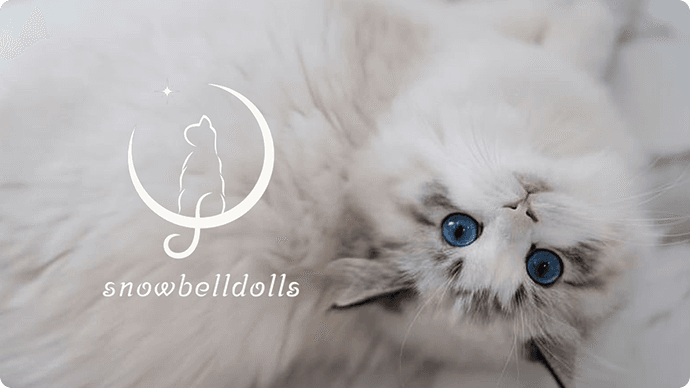 キャッテリーのサービスサイト