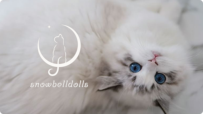 キャッテリーのサービスサイト